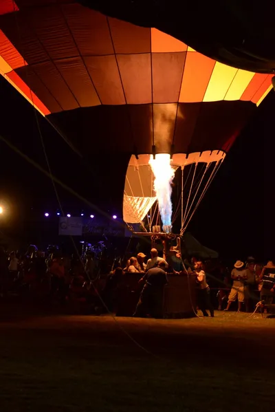 DSC_2450 (Large).JPG